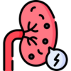 Ícone Nefrolitíase