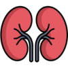 Ícone Doença Renal Crônica